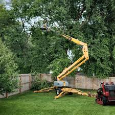 Best Emergency Tree Removal  in Pleasant Hill, OH